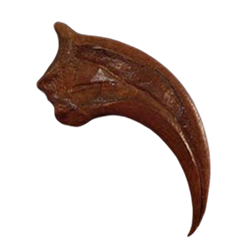 Dinosaur Bones & Claws