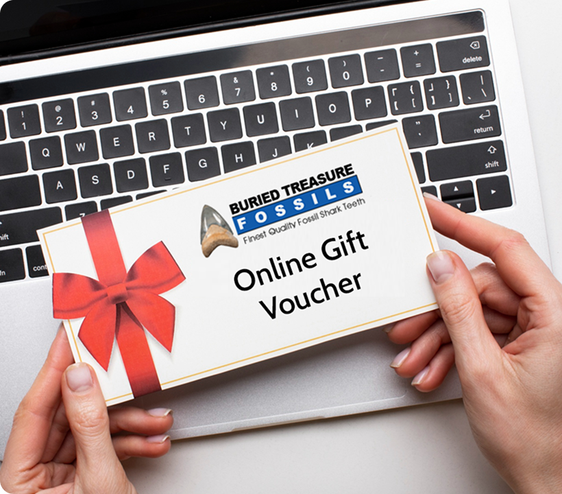 Gift Voucher