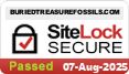 Security